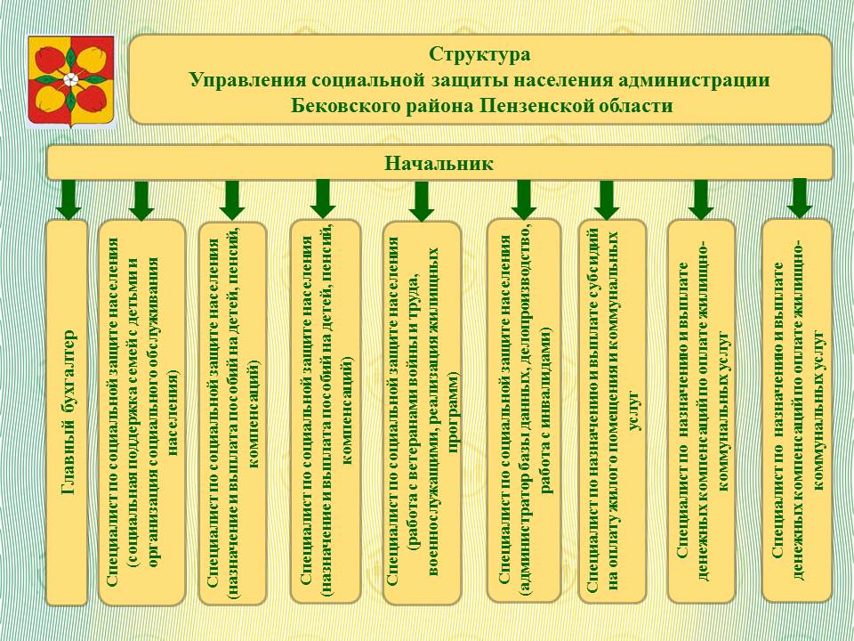 Структура организации
